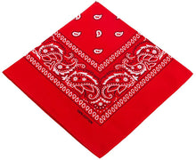 Load image into Gallery viewer, World of Shawls Cotton Paisley Bandanas Headband Scarf Print, Fashion Hair Accessory, Sports, Multifunctional - World of Scarfs