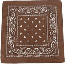 Load image into Gallery viewer, World of Shawls Cotton Paisley Bandanas Headband Scarf Print, Fashion Hair Accessory, Sports, Multifunctional - World of Scarfs
