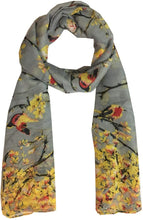 Load image into Gallery viewer, World of Shawls New Butterfly Print Ladies Celebrity Style Scarves Maxi, Scarf, Wrap, Sarong, shawls - World of Scarfs