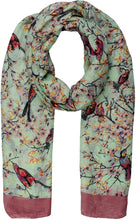 Load image into Gallery viewer, World of Shawls New Ladies Womens Celebrity Style Long Scarf Scarves Maxi Sarong Sale - World of Scarfs