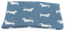 Load image into Gallery viewer, World of Shawls Pug Dog, Dachshund Dogs, Spaniel Dog, Jack Russell Print Scarf - All Seasons Lovely Soft Scarf Wraps Shawl Scarves - World of Scarfs
