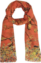 Load image into Gallery viewer, World of Shawls New Ladies Womens Celebrity Style Long Scarf Scarves Maxi Sarong Sale - World of Scarfs
