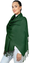 Load image into Gallery viewer, World of Shawls Super Soft Pashmina Shawl Scarf Wrap - World of Scarfs
